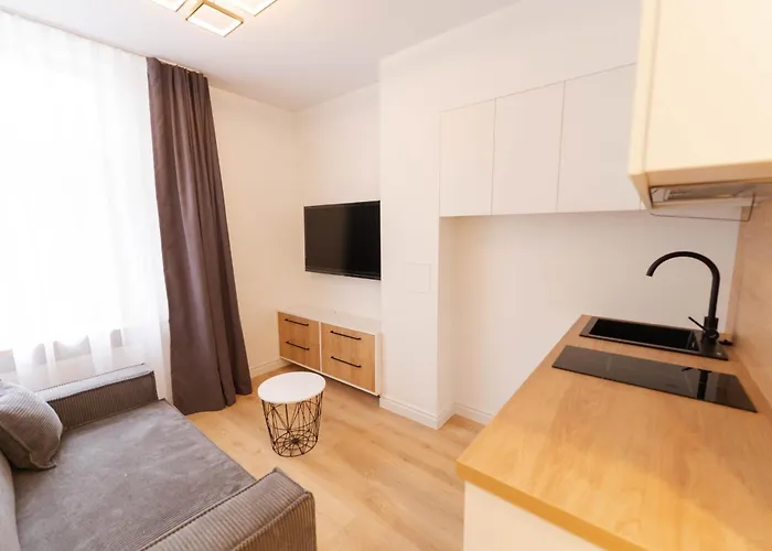 New Modern And Cozy Studio Apartment In The Old Town Vilnius